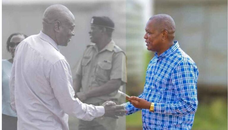 MP Mwengi Mutuse's brother, sister-in-law killed in road accident